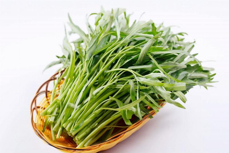 Minh họa các loại đất phù hợp nhất cho từng nhóm cây trồng như rau ăn lá, rau ăn quả, hoa cảnh, và cây ăn quả